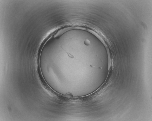 X0000115560438200911201826