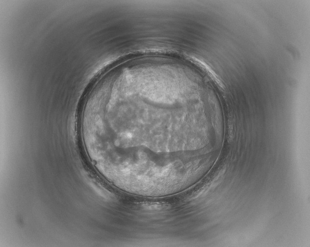 X0000115560439200911201826