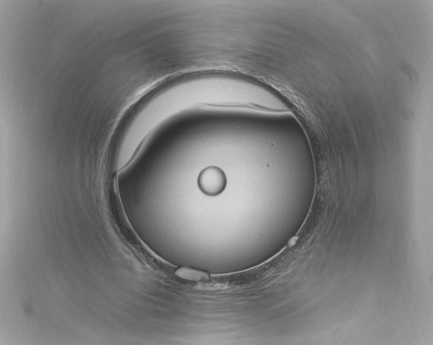 X0000115560440200911201826