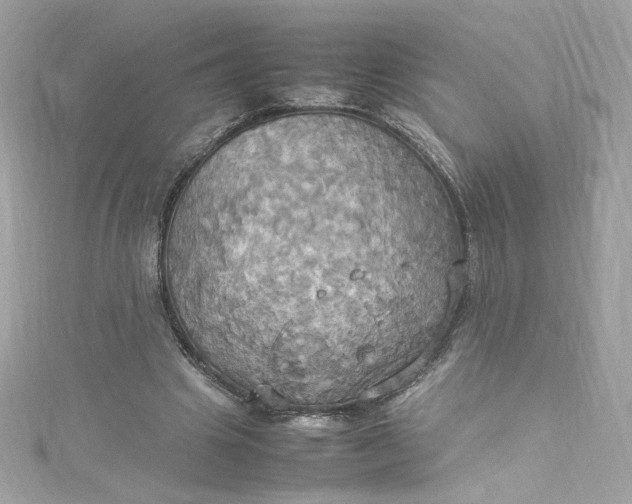 X0000115560441200911201826