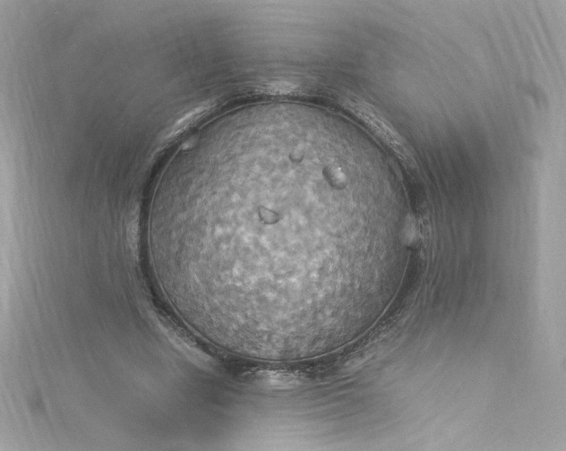 X0000115560442200911201826