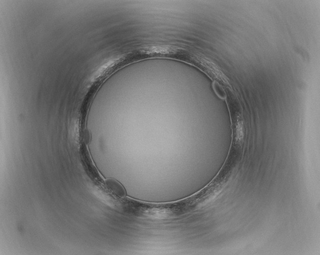 X0000115560444200911201826