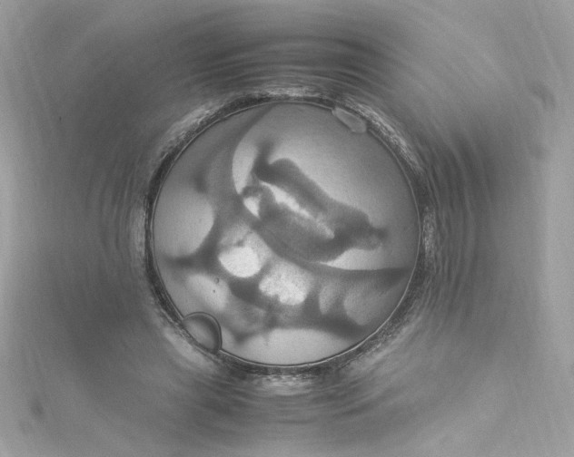 X0000115560445200911201826