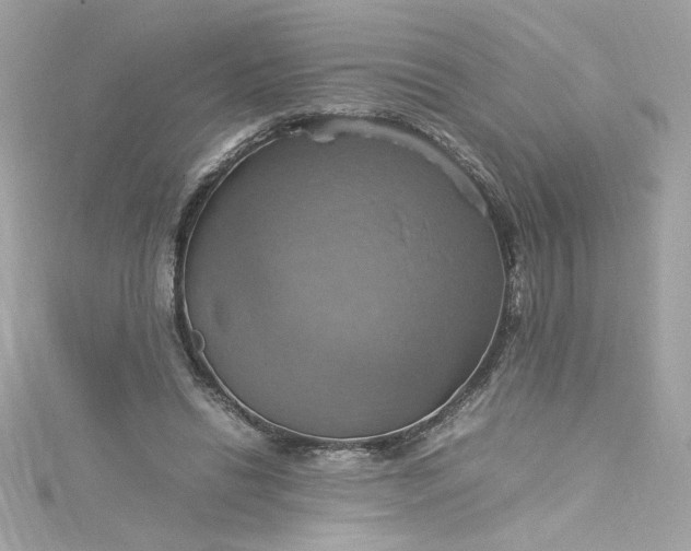 X0000115560446200911201826