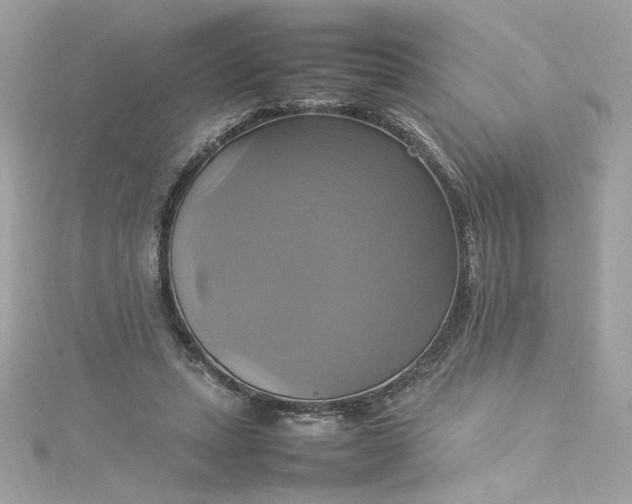 X0000115560447200911201826