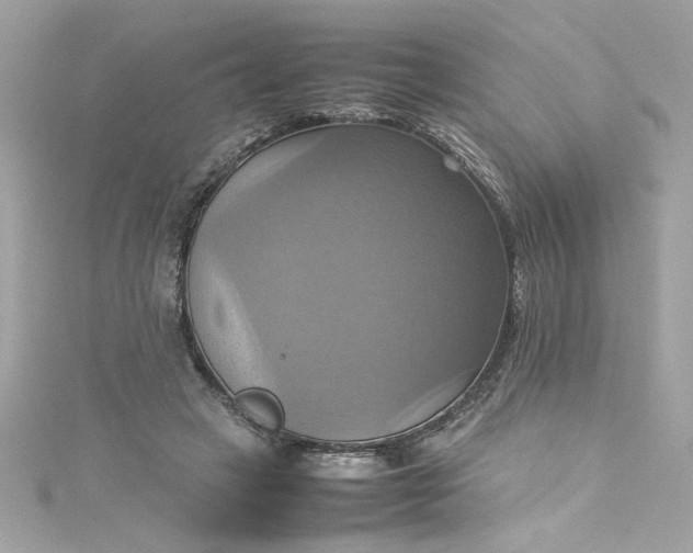 X0000115560449200911201826