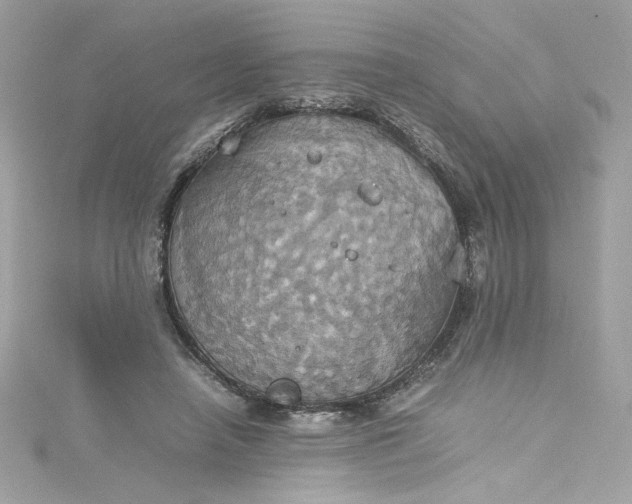 X0000115560450200911201826