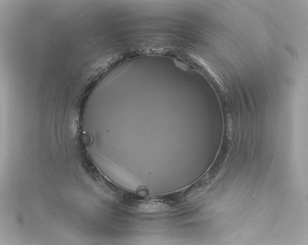 X0000115560451200911201826