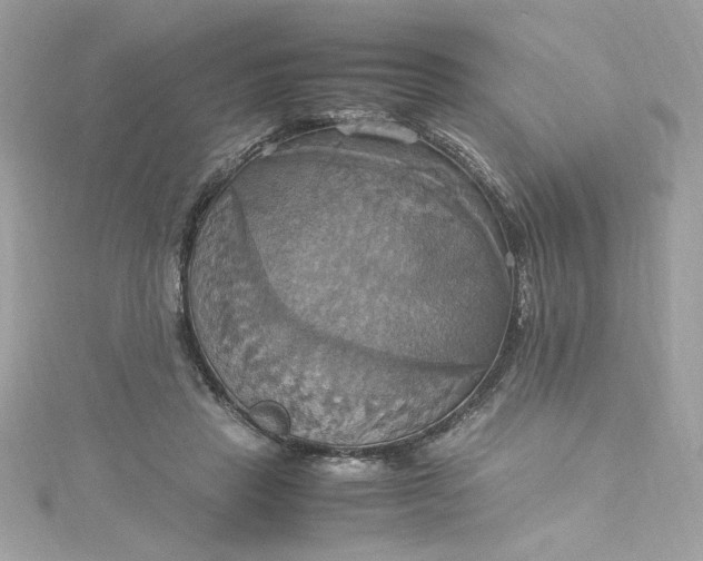 X0000115560453200911201826