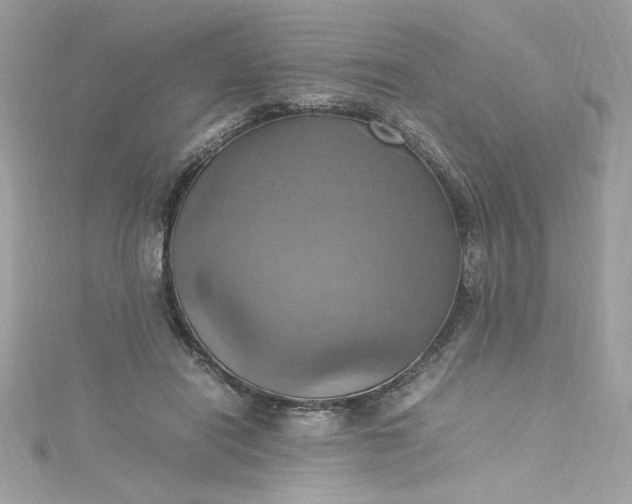 X0000115560454200911201826