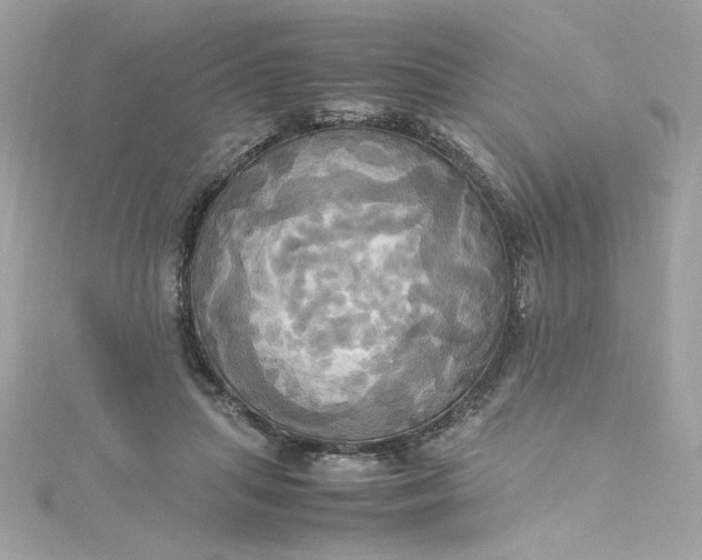 X0000115560455200911201826