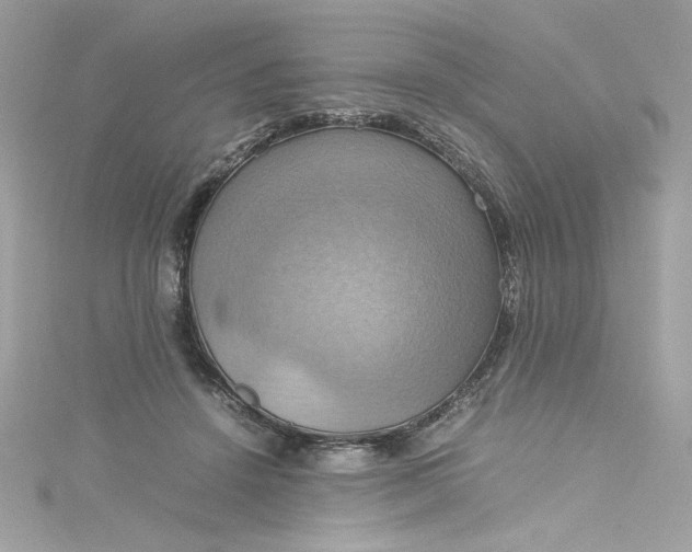 X0000115560456200911201826