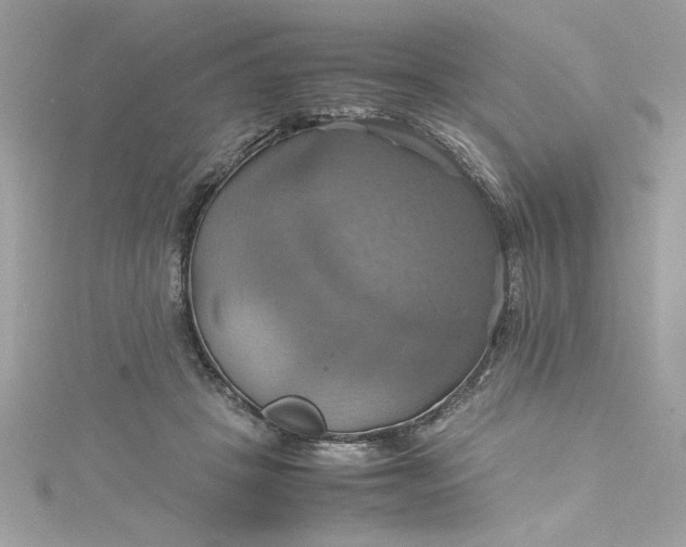 X0000115560457200911201826