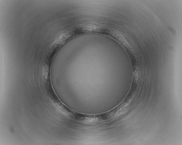 X0000115560458200911201826