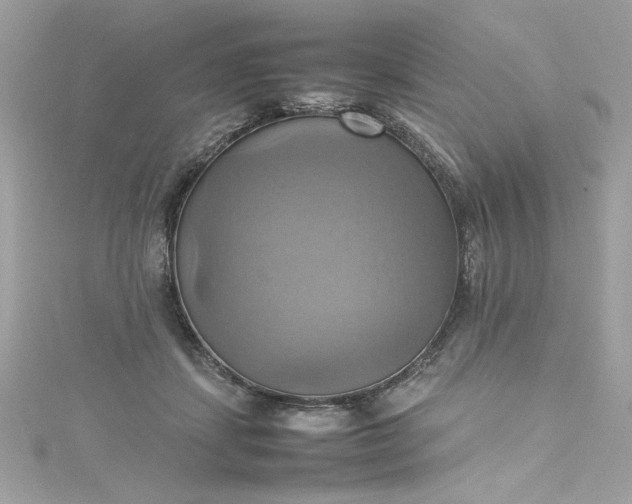 X0000115560459200911201826