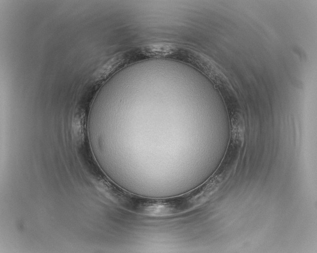 X0000115560460200911201826