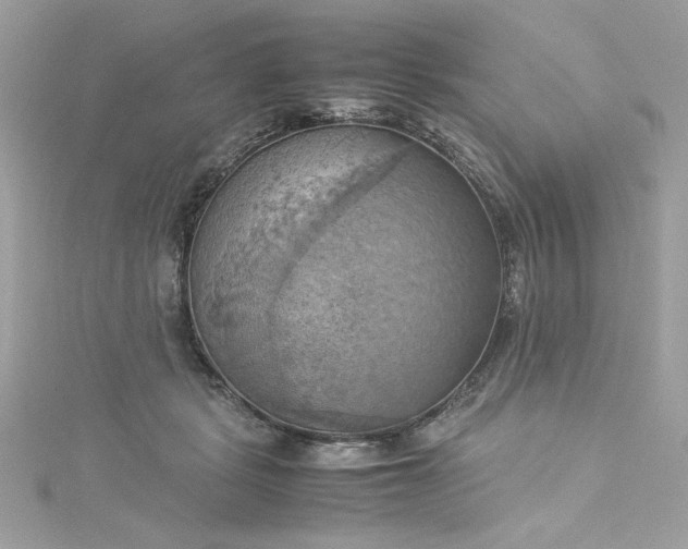 X0000115560461200911201826