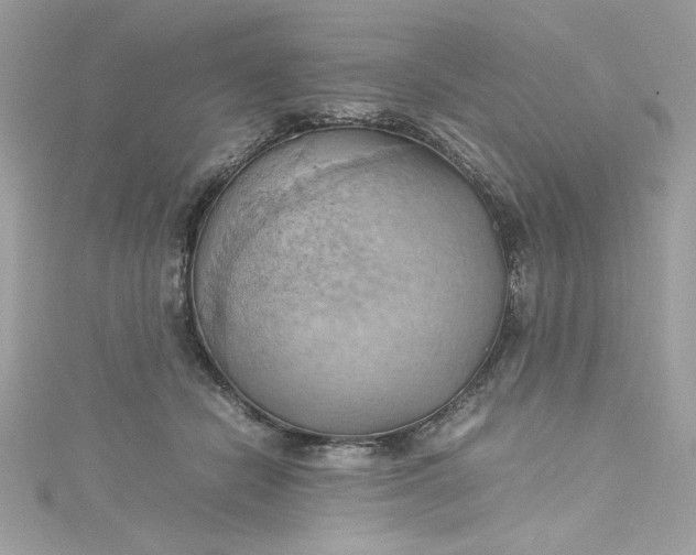 X0000115560462200911201826