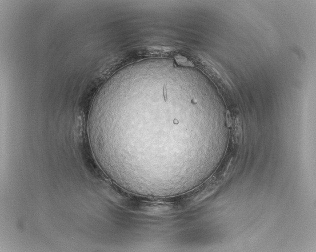 X0000115560463200911201826