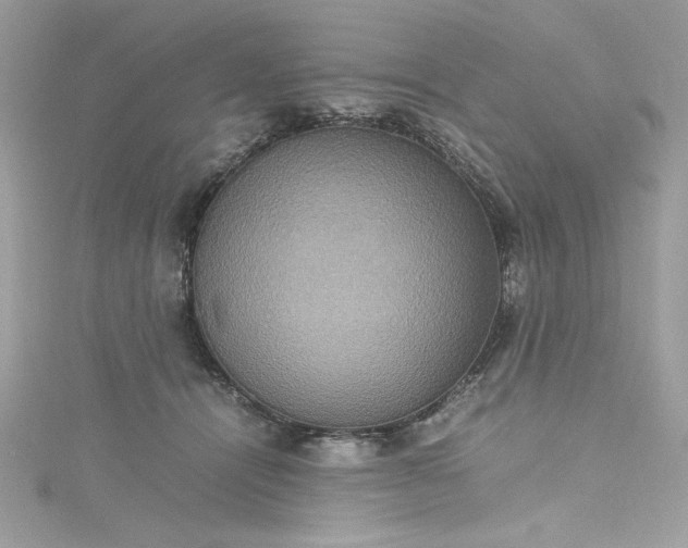 X0000115560464200911201826