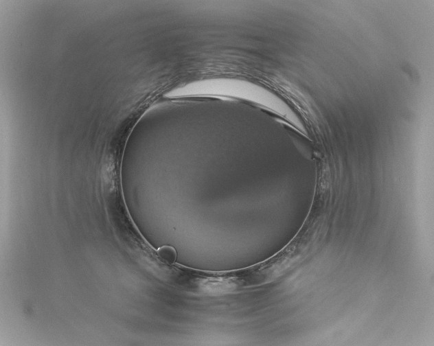 X0000115560465200911201826