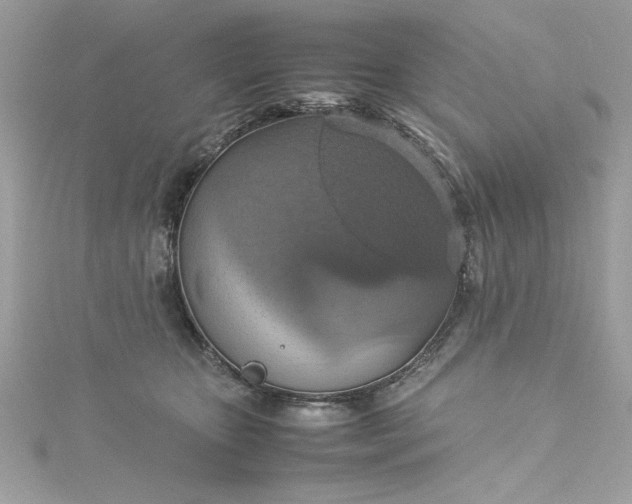 X0000115560467200911201826