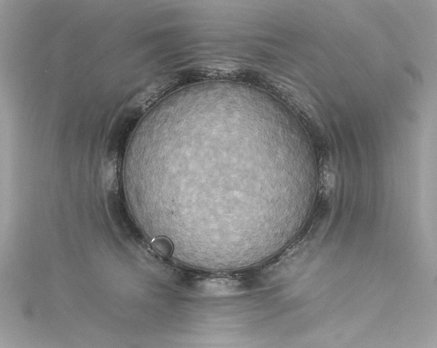 X0000115560468200911201826