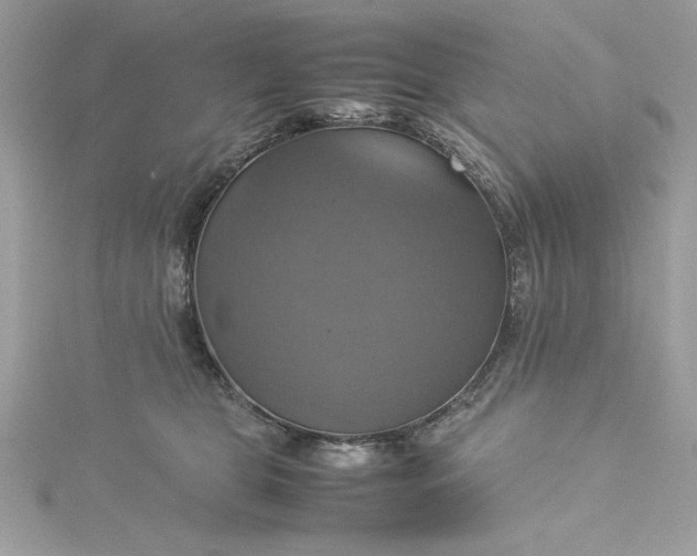 X0000115560469200911201826