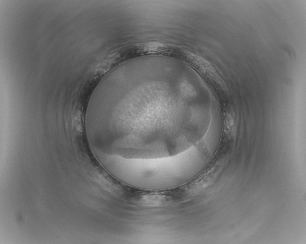 X0000115560470200911201826