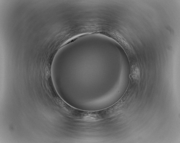 X0000115560471200911201826