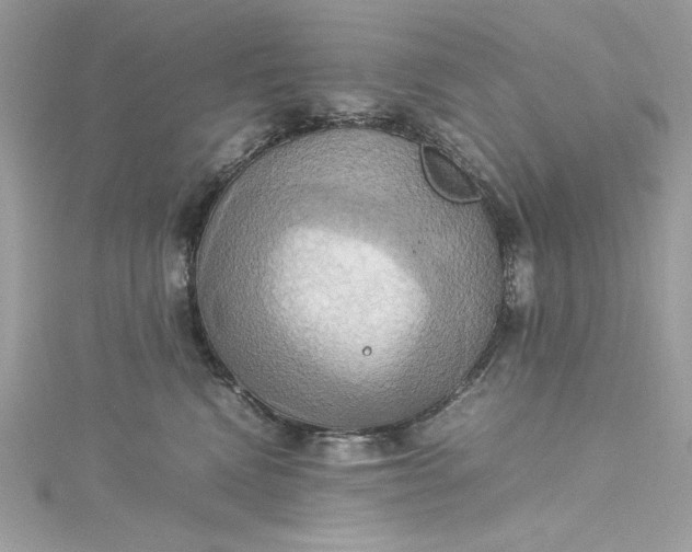 X0000115560472200911201826