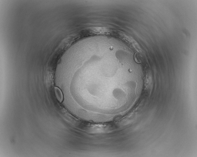 X0000115560473200911201826