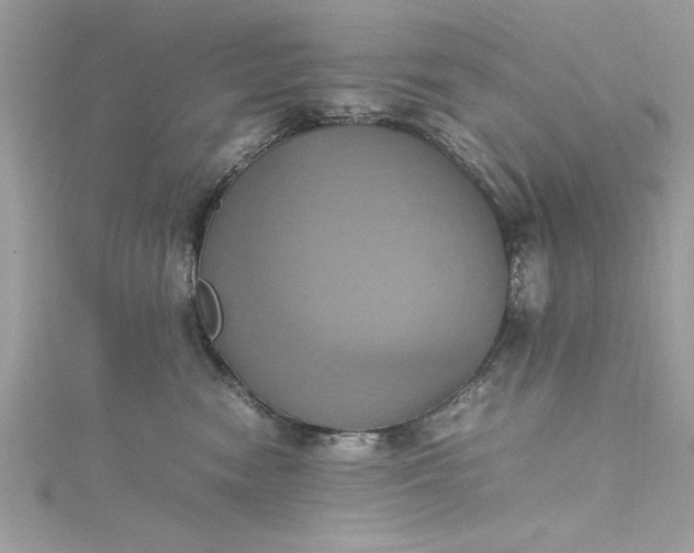 X0000115560474200911201826