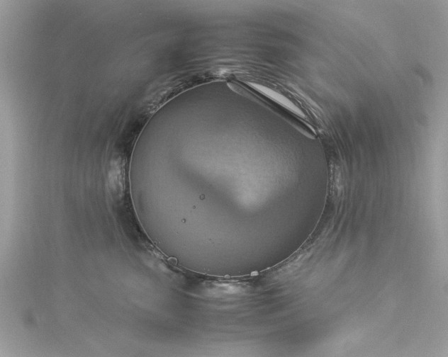 X0000115560475200911201826