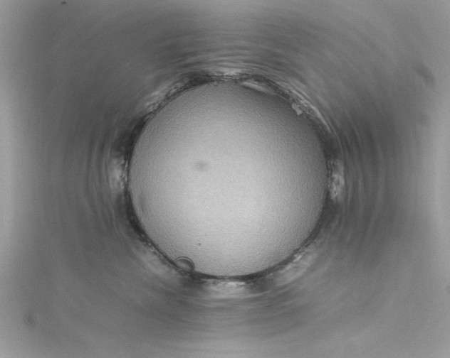 X0000115560476200911201826