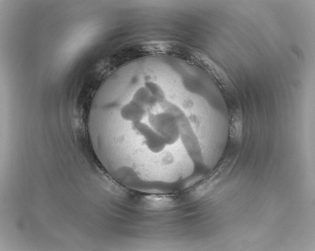 X0000115560477200911201826