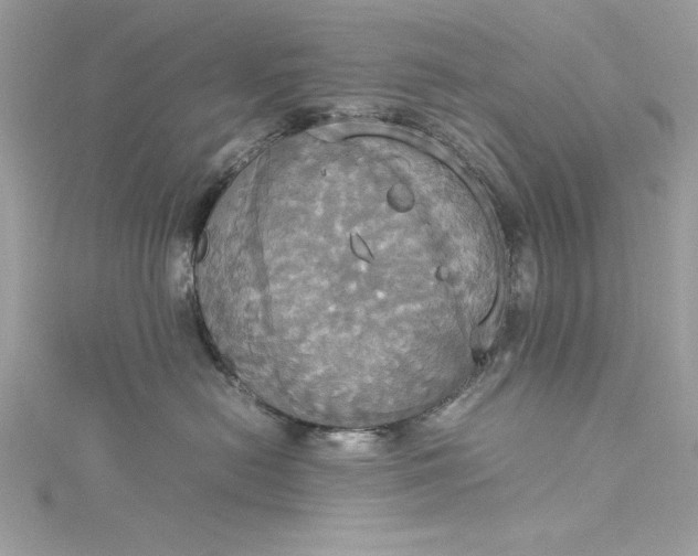 X0000115560478200911201826