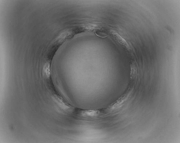 X0000115560479200911201826