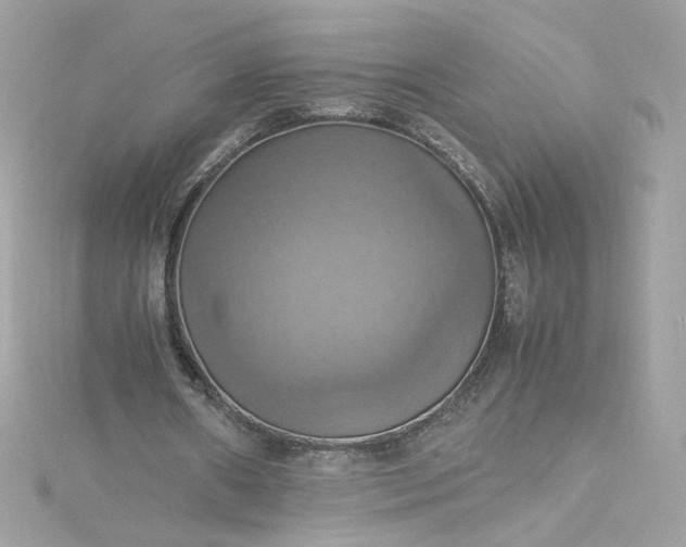 X0000115560482200911201826