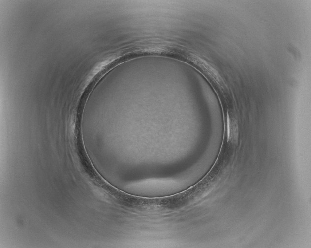 X0000115560483200911201826