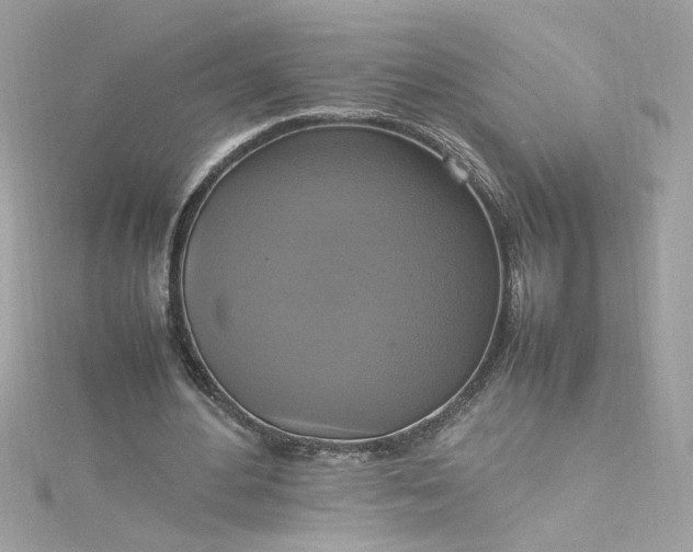 X0000115560484200911201825