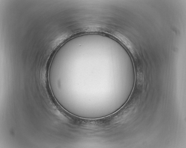 X0000115560485200911201825