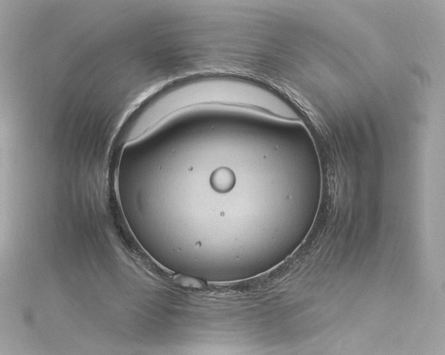 X0000115560488200911201825