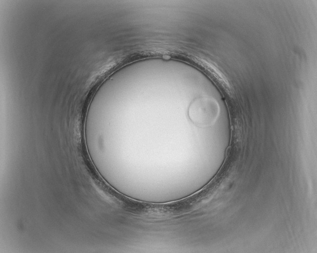 X0000115560489200911201825