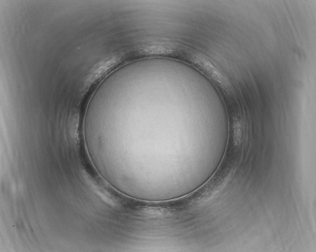 X0000115560490200911201825