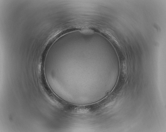 X0000115560491200911201825