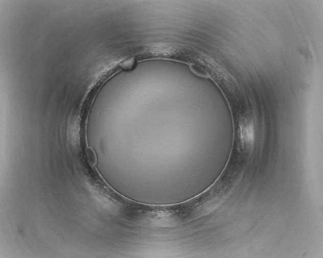 X0000115560492200911201825