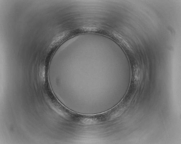 X0000115560494200911201825