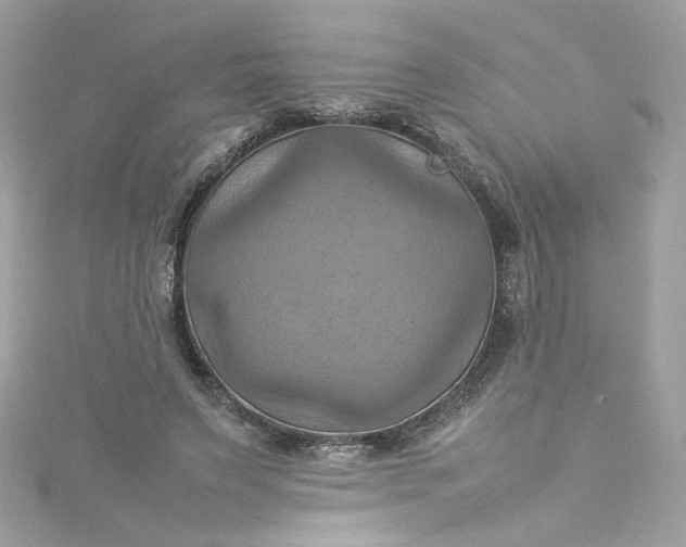 X0000115560495200911201825