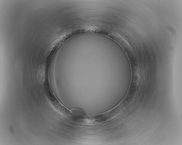 X0000115560496200911201825